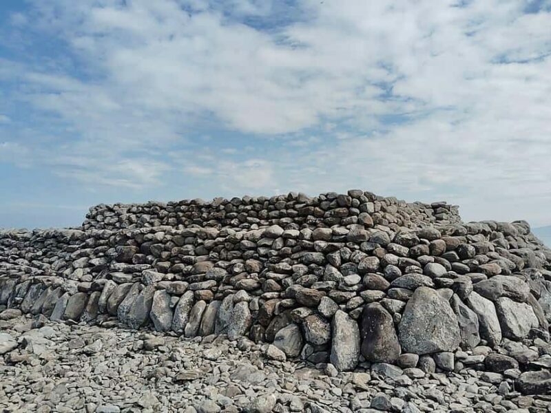 Fukuoka: Cats Island, Ainoshima Guided Tour from Hakata - FAQ