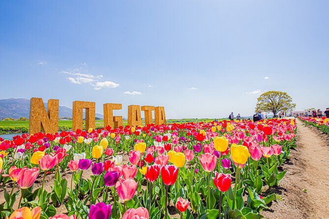 Fukuoka Cherry Blossom and Tulip Tour With Boat Ride Yokabus - Itinerary and Weather Considerations