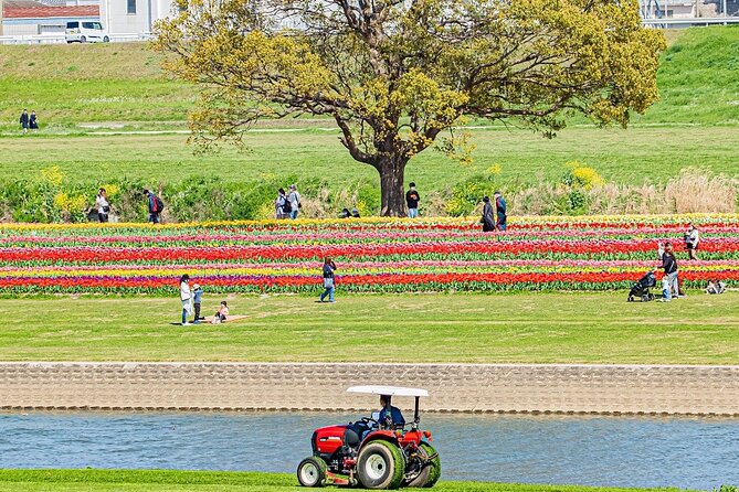 Fukuoka Cherry Blossom and Tulip Tour With Boat Ride Yokabus - Amagi Railway and Yanagawa