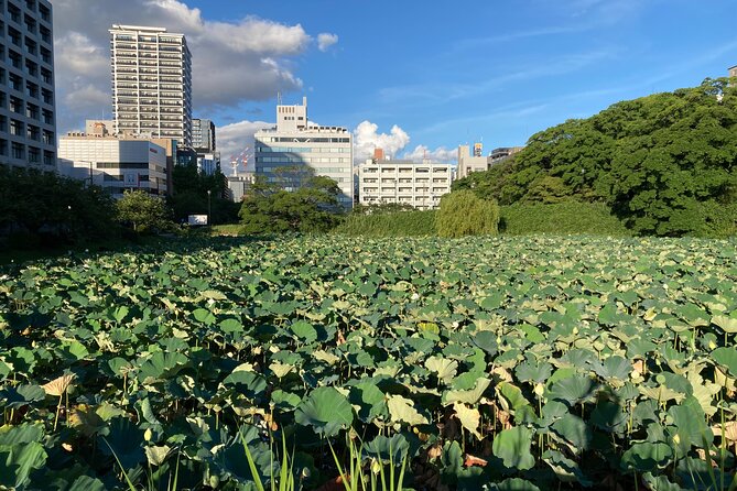 Fukuoka City Walking and Public Transport Tour - Visiting Historical and Cultural Landmarks