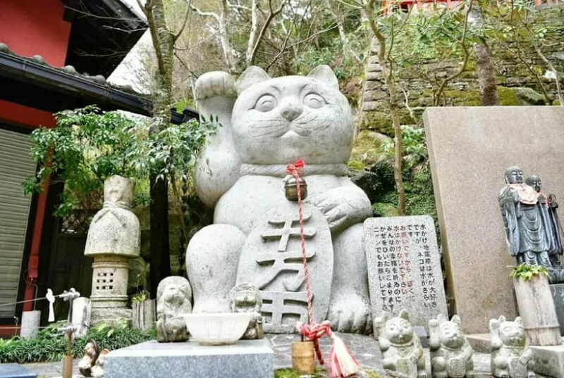 Fukuoka Cultural Walk: Castle, Shrines, Temples & Tales - Authentic Insights and Traveler Feedback