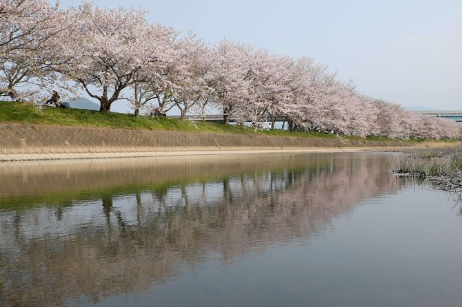 Fukuoka Custom Half Day Tour - Attractions and Pricing