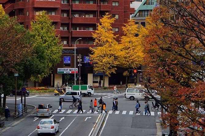 Fukuoka Custom Half Day Tour - Tour Itinerary and Highlights