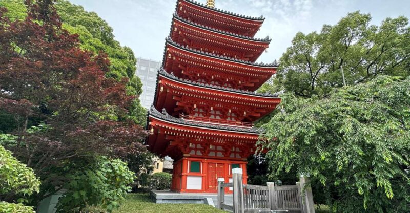 Fukuoka: Customized Private Walking Tour - Highlights of the Tour Experience