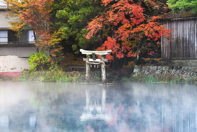 Fukuoka Day Trip to Yufuin, Beppu Hell Onsen and Animal Park - Health and Accessibility Considerations