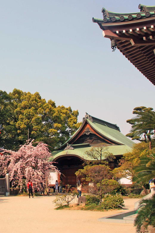 Fukuoka Essentials: History, Culture, & Charms - Exploring the Magnificent Tochoji Buddha
