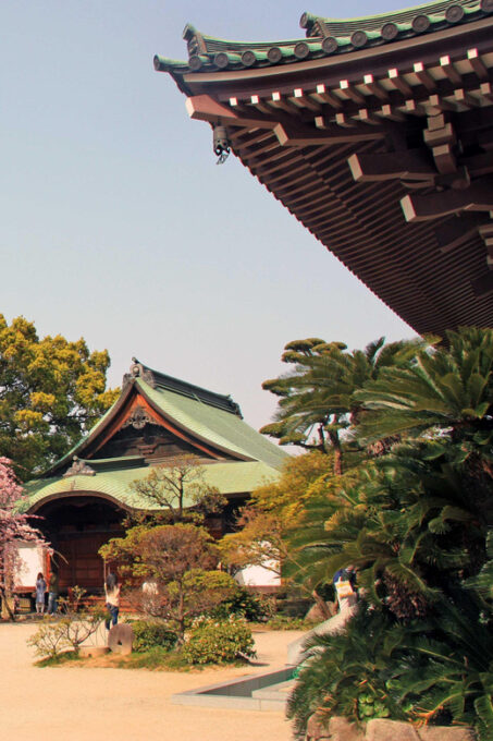 Fukuoka Essentials: History, Culture, & Charms - Booking and Cancellation Policy