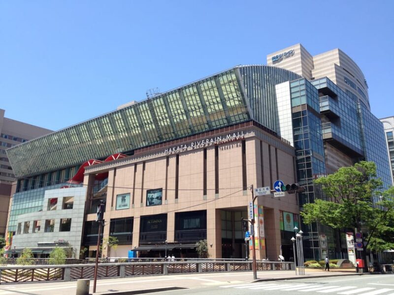 Fukuoka: Independent Curators Tour to the Asian Art Museum - Included in the Tour