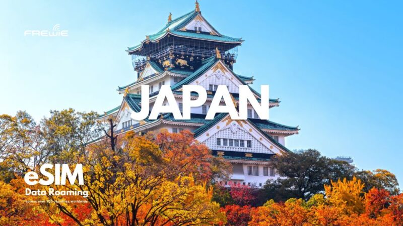 Fukuoka (Japan) Data Esim: 0.5gb to 5GB Daily - 30 Days - Activation Process
