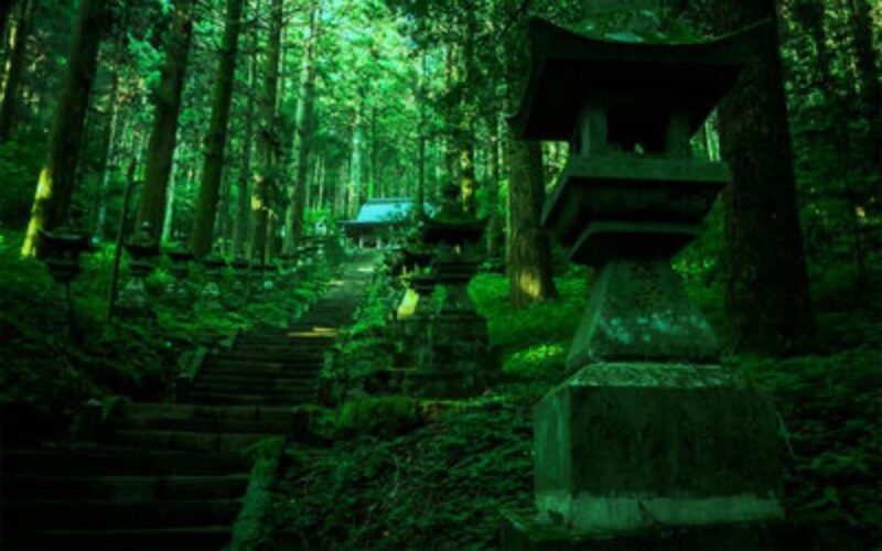 Fukuoka: Kyushu Mt. Aso One Day Tour - Overview of the Tour