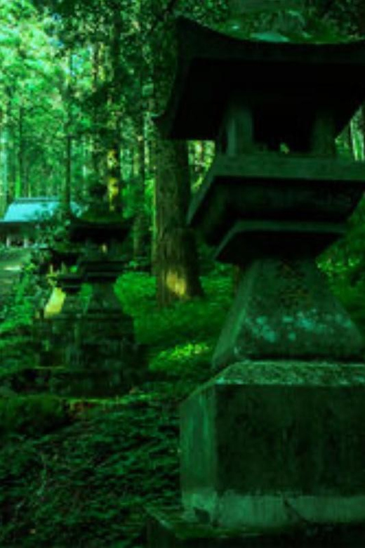 Fukuoka: Kyushu Mt. Aso One Day Tour - Kamishiromi Kumanoza Shrine