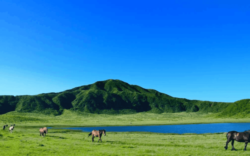 Fukuoka: Kyushu Mt. Aso One Day Tour - Included in the Tour