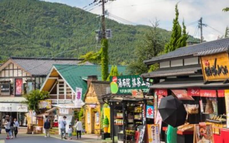 Fukuoka: Kyushu Natural Animal Park & Yufuin Day Tour - Key Points