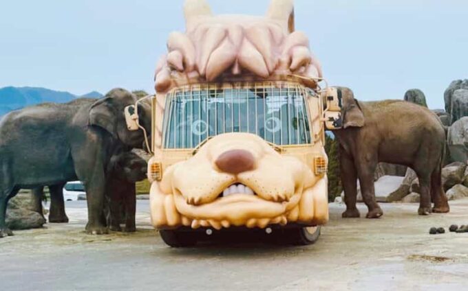 Fukuoka: Kyushu Natural Animal Park & Yufuin Day Tour - Inclusions and Exclusions