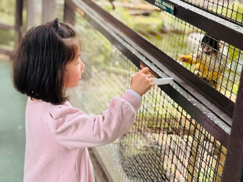 Fukuoka: Kyushu Natural Animal Park & Yufuin One Day Tour - Key Points