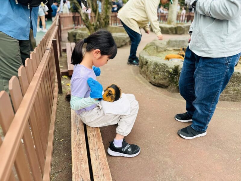 Fukuoka: Kyushu Natural Animal Park & Yufuin One Day Tour - Safari-Style Park Exploration