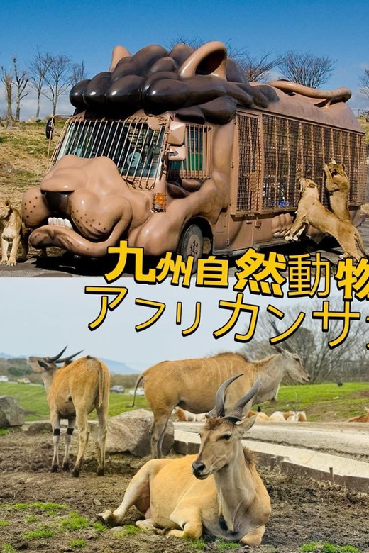 Fukuoka: Kyushu Natural Animal Park & Yufuin One Day Tour - Family Play Area