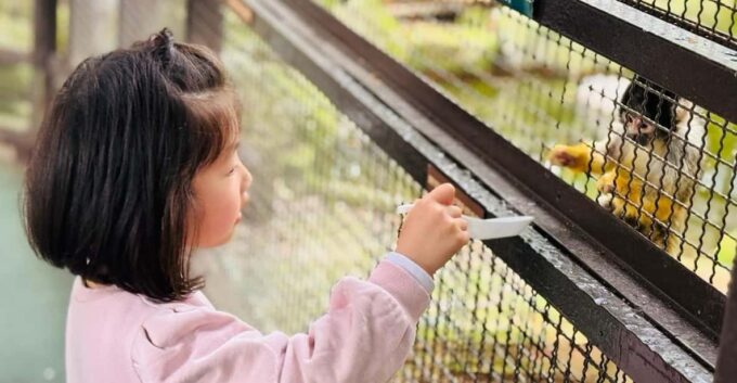 Fukuoka: Kyushu Natural Animal Park & Yufuin One Day Tour - Inclusions and Exclusions