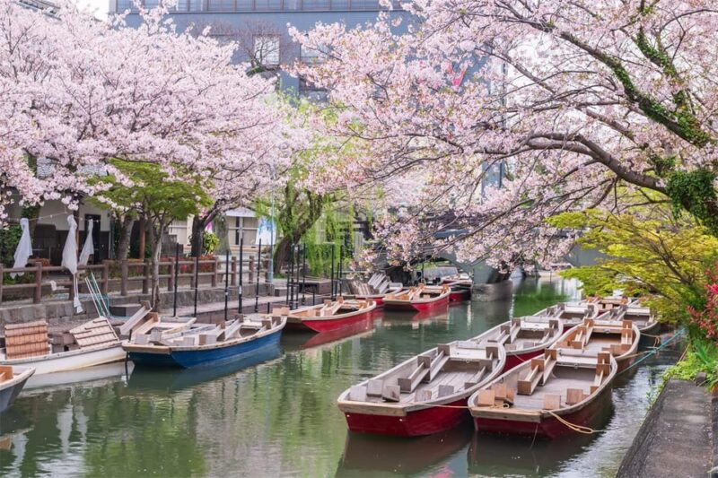 Fukuoka: Kyushu Strawberry Picking, Yanagawa Boat,Art Museum - Itinerary Highlights
