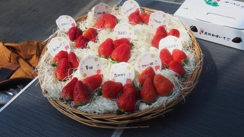 Fukuoka: Kyushu Strawberry Picking, Yanagawa Boat,Art Museum - Strawberry Picking Experience