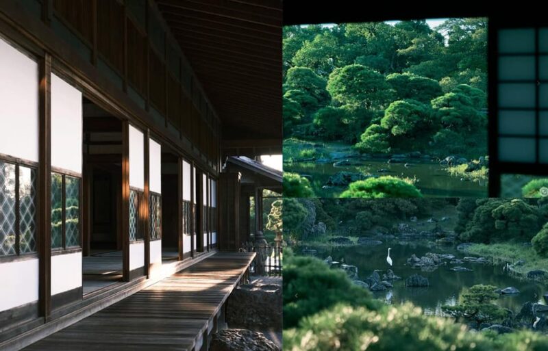 Fukuoka: Kyushu Strawberry Picking, Yanagawa Boat,Art Museum - Important Information and Recommendations