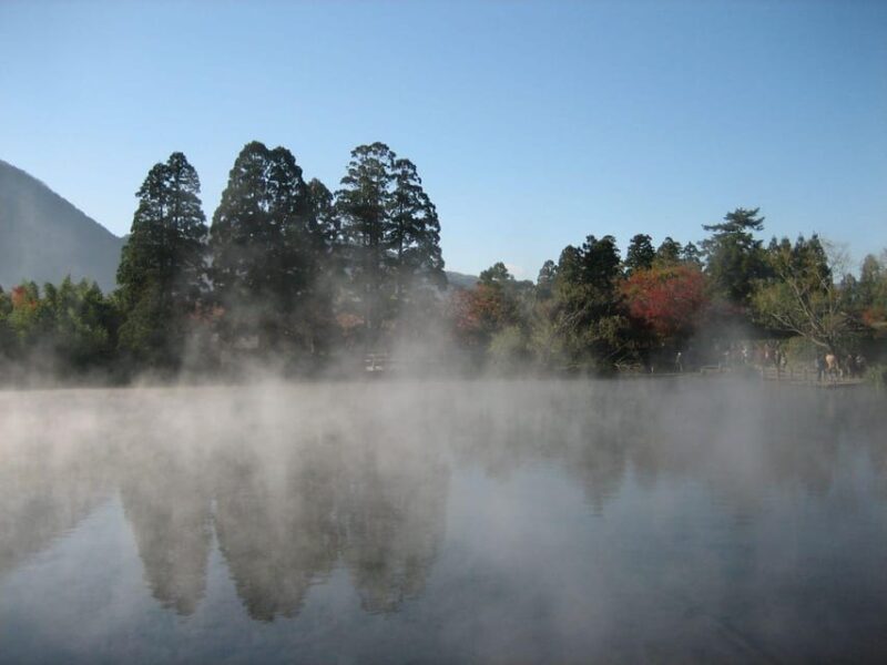 Fukuoka: Kyushu Tour to Dazaifu, Nyoirin-ji Temple, & Yufuin - Dazaifu Tenmangu Shrine