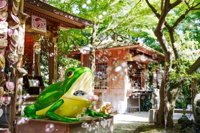 Fukuoka: Kyushu Tour to Dazaifu, Nyoirin-ji Temple, & Yufuin - Kinrin Lake (Optional)