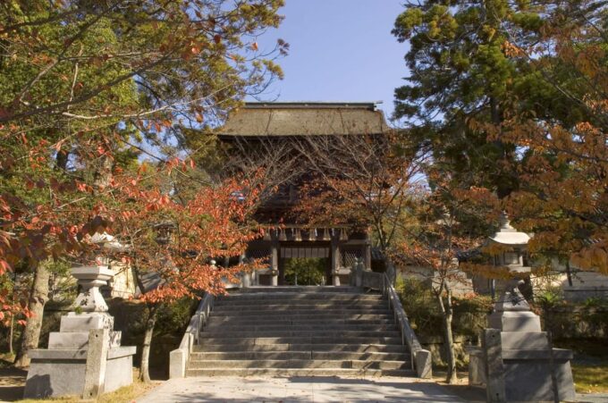 Fukuoka: Miyajidake Shrine & Kashii Shrine Private Tour - Inclusions and Exclusions