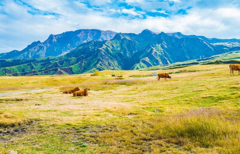 Fukuoka: Mount Aso Volcano, Kumamoto Castle, Grasslands Tour - Mount Aso Volcano Visit