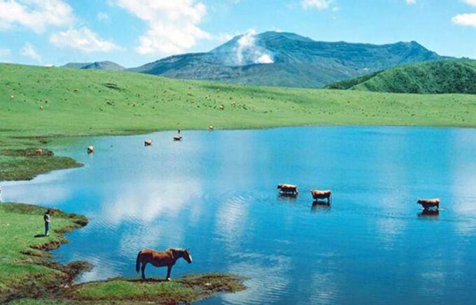 Fukuoka: Mount Aso Volcano, Kumamoto Castle, Grasslands Tour - Optional Activities and Experiences