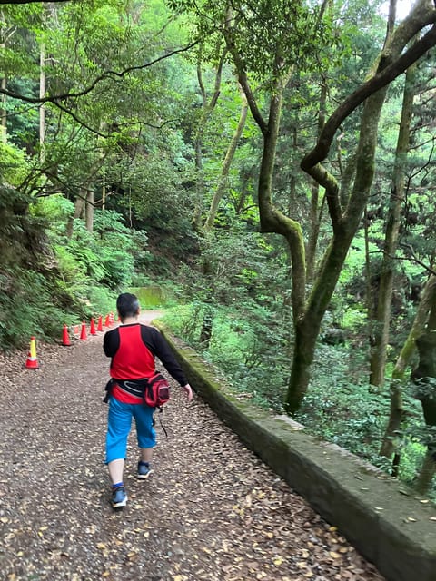 FUKUOKA: MOUNT TENPAI TREKKING TOUR - Highlights