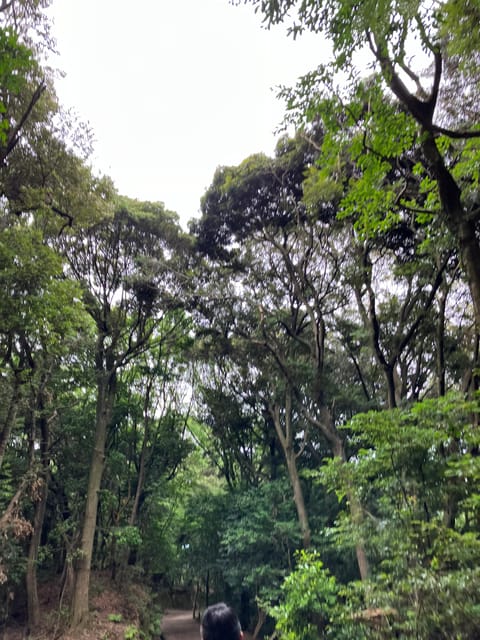 FUKUOKA: MOUNT TENPAI TREKKING TOUR - Natural Beauty