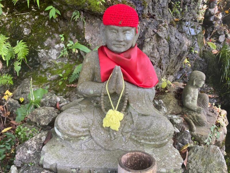 Fukuoka: Nanzoin Temple and Reclining Buddha Guided Tour - Visitor Information and Guidelines