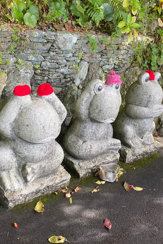 Fukuoka: Nanzoin Temple and Reclining Buddha Guided Tour - Getting to Nanzoin Temple
