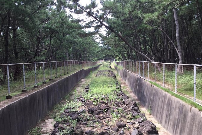 Fukuoka Nature and Cultural Sightseeing Tour - Tour Pricing and Policies