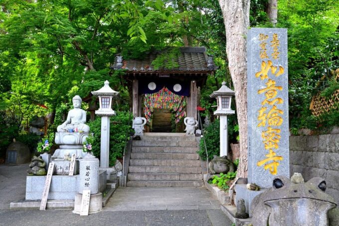 Fukuoka: Nyoirinji Frog Temple & Beppu & Yufuin One-Day Tour - Tour Exclusions and Limitations