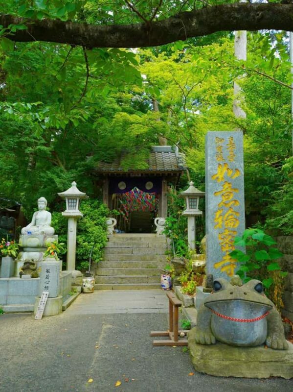Fukuoka: Nyoirinji Temple, Beppu Hells Tickets Incl & Yufuin - What to Wear and Bring