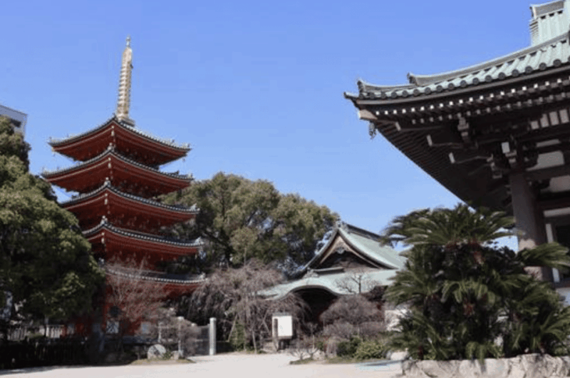 Fukuoka Private Custom Tour With Local Guide - Key Points