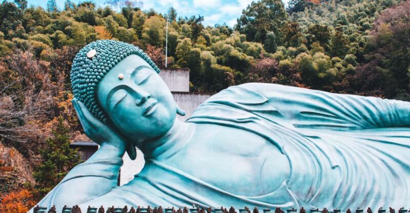 Fukuoka: Private, Customized Tour With Local Guide - Key Points