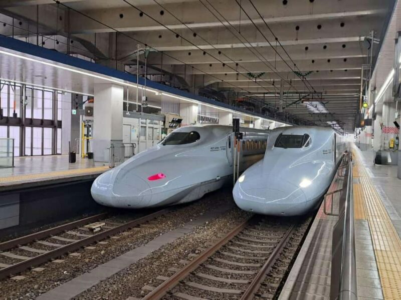 Fukuoka: Private Kumamoto Day Trip with Hotel Pickup - Introduction to the Kumamoto Day Trip Experience