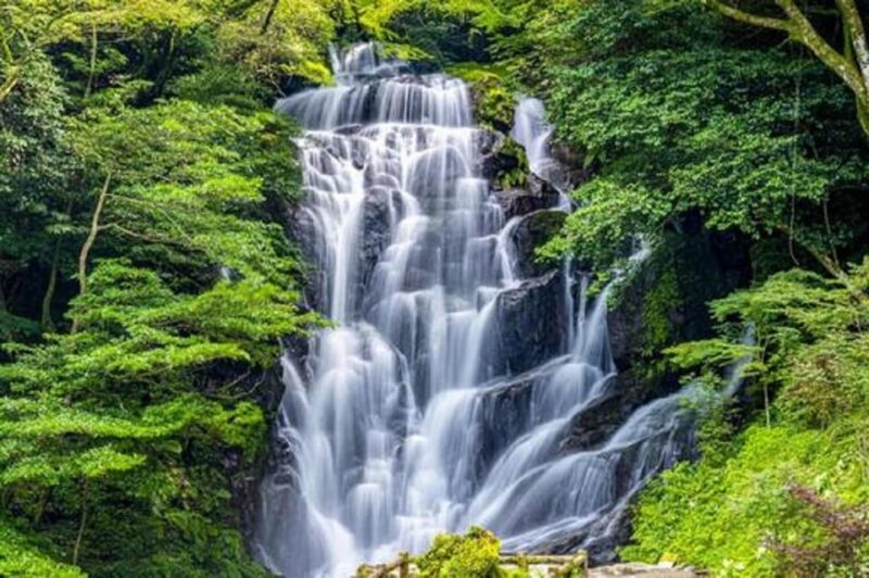 Fukuoka, Saga, Nagasaki Customizable 1-Day Tour - Discovering Saga Highlights