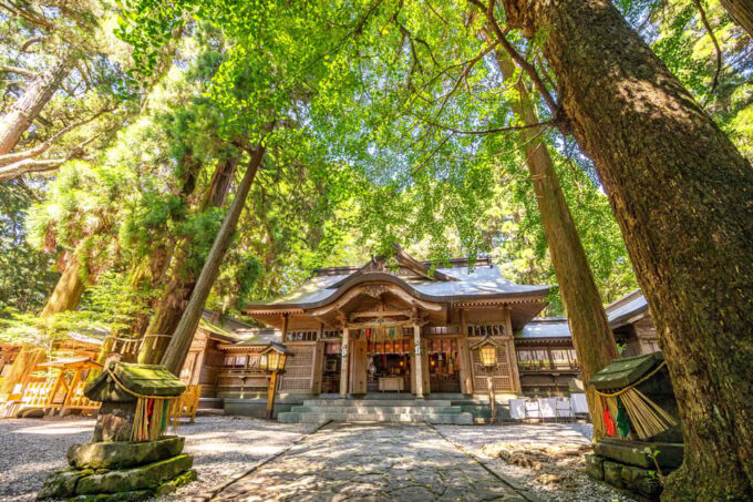 Fukuoka: Takachiho Gorge 1 Day Private Tour - Frequently Asked Questions