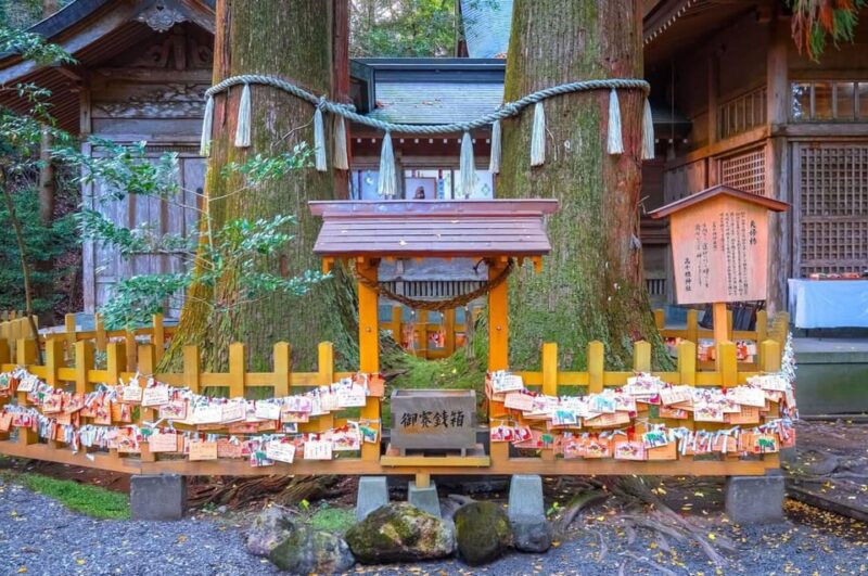 Fukuoka: Takachiho Gorge and Shrine Private Day Trip - Delving Into the Legends and Myths of Japan