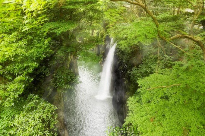 Fukuoka: Takachiho Gorge and Shrine Private Day Trip - Essential Information for the Day Trip