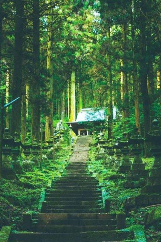 Fukuoka Takachiro Gorge Amanoyasugawara Shrines One Day Tour - Key Points