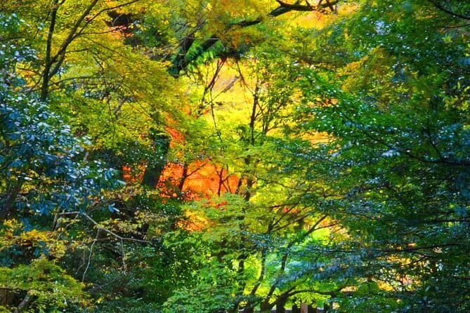 Fukuoka to Takachiho Shrine Tour With Optional Beef Lunch - Lunch Details