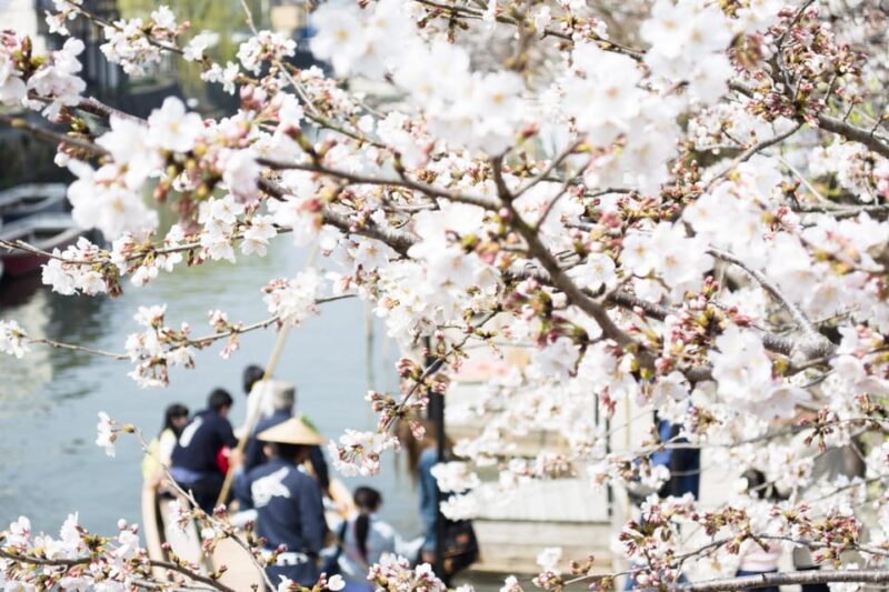 Fukuoka: Yanagawa Kimono Rental, River Cruise, and Lunch - Japanese Cuisine Lunch at KAMENOI HOTEL YANAGAWA