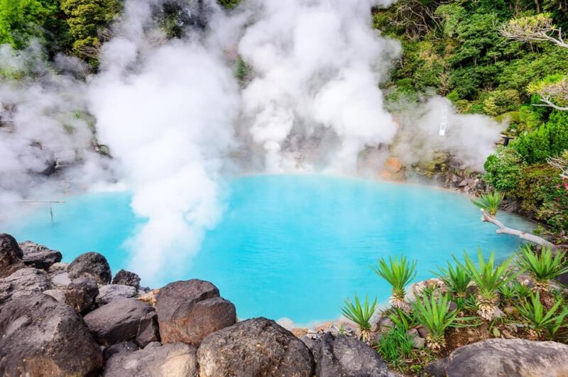 Fukuoka:Day Trip to Yufuin, Beppu Hell Onsen and Animal Park - Kyushu Wildlife Park Adventure