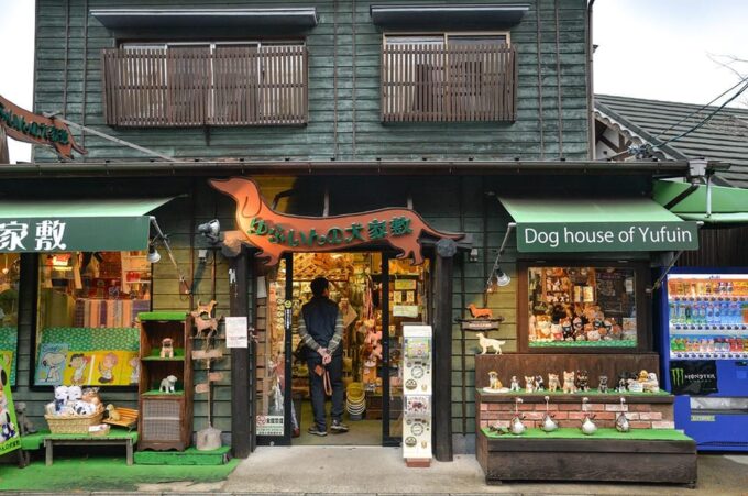 Fukuoka:Day Trip to Yufuin, Beppu Hell Onsen and Animal Park - Beppu Hell Onsen Attractions