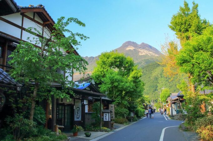 Fukuoka:Day Trip to Yufuin, Beppu Hell Onsen and Animal Park - Tour Logistics and Meeting Point